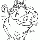 Pumbaa et suricate hilarante