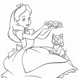 Alice joue avec un chaton