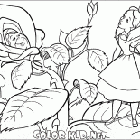 Rose et Alice