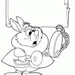 lapin blanc