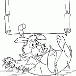 White Rabbit flotteurs