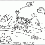 Jellyfish sur une poursuite