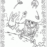 Jellyfish attaque