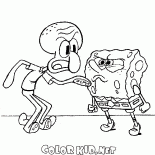 Conflit entre Octopus et Bob