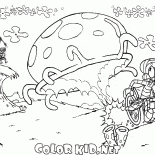 Méduse géante