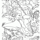 Tarzan et Jane