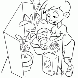 Lewis juges fleurs
