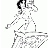 Aladdin mouches