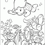 Lilo avec des poissons