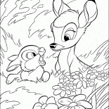 Hare et Bambi