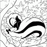 Skunk en vacances