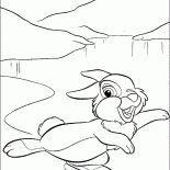 Hare sur une glace