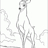 Forêt roi