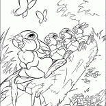 Les lièvres sont Drumming