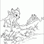 Bambi et la grenouille