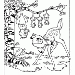 Les opossums et Bambi