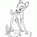 Bambi dans la prairie