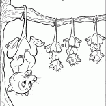 Les opossums en attente