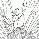 Forêt souris