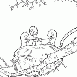 Nid avec les poussins
