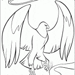 Aigle Gardien