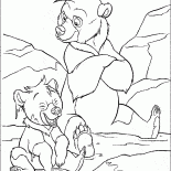 Koda et Kenai