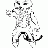 Raton laveur Creative