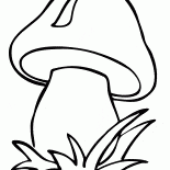 Champignon