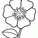 Fleur