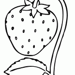 fraise