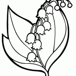 Muguet
