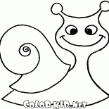 Escargot sur la promenade