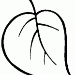 Feuille de larbre