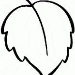 Feuille de bouleau