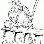Parrot de Flint
