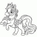 Poney étoile