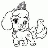 Puppy Pumpkin