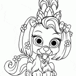 Puppy Camomille