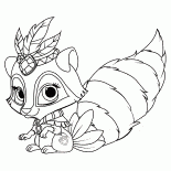 Raccoon Bleuet