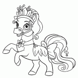 Poney Nénuphar