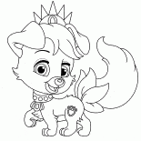 Puppy amis