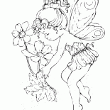 Bébé Fée