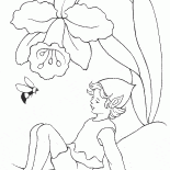 Elf et le bourdon