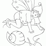 Fée escargot