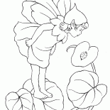 Petit Elf