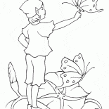 Elf et de papillon
