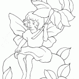 Fée dans la fleur