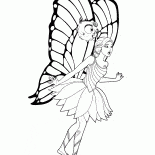 Papillon-Fairy surpris