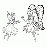 Mariposa et Catane