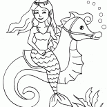 Sirène et hippocampe